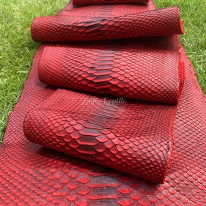 May include: Red snake skin leather rolls with a textured, scaled pattern. The leather is a vibrant red with darker red and black accents. The rolls are arranged on a bed of green grass.