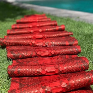 Puede incluir: Varias pieles de serpiente rojas brillantes dispuestas sobre hierba verde. Las pieles muestran una textura escamosa con marcas de color marrón oscuro. El texto "Tana Reptile" es visible en la parte inferior de la imagen.