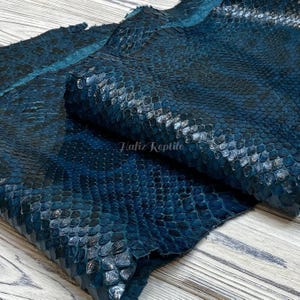 Può includere: Primo piano di un pezzo di pelle di rettile blu-verde con un motivo a scaglie. La pelle ha una superficie strutturata e un aspetto scuro e screziato. Il testo "Hafiz Reptile" è visibile nell'angolo in basso a destra.