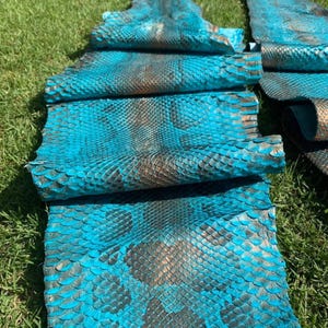 Puede incluir: Varios trozos de cuero de piel de serpiente turquesa y marrón están dispuestos sobre hierba verde. El cuero tiene un patrón de escamas y un brillo metálico. El color es un turquesa vibrante con acentos marrones y negros.