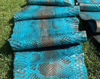 本物のパイソンレザースキン | インドネシアのなめし革工場で無漂白のターコイズブルーボルネオベリースキン