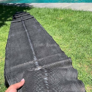 Op de afbeelding: Een grote, zwarte reptielenhuid met een textuurpatroon. De huid ligt op groen gras in de buurt van een zwembad. De huid heeft een centrale ruggengraatachtige richel en een schubachtige textuur. De woorden "Juliz Reptile" zijn rechtsonder zichtbaar.
