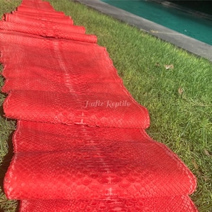 Äkta pytonläder | Karmosinrött nätliknande magskinn blekt från indonesiskt garveri