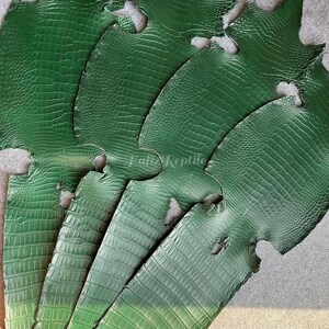 Könnte beinhalten: Mehrere Blätter smaragdgrünes Reptilleder sind auf einer grauen Oberfläche angeordnet. Das Leder hat ein strukturiertes, schuppenartiges Muster. Das Bild ist gut beleuchtet und zeigt die Farbe und Textur des Materials. Das Thema ist Lederwaren.