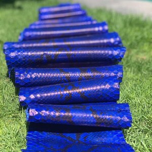 Könnte beinhalten: Eine Ansammlung gerollter blauer Lederhäute mit Schlangenmuster. Die Häute sind auf einer grünen Grasfläche angeordnet und zeigen die leuchtende blaue Farbe und die komplizierte Textur des Materials. Die Häute sind wahrscheinlich zum Basteln.