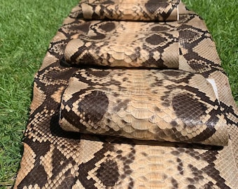Echte Pythonlederhaut | Beige retikulierte Bauchhaut Ungebleichte indonesische Gerberei