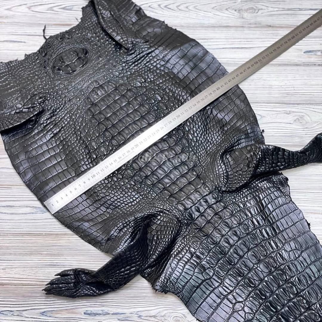 Full Alligator Leather Hide | Brown Glossy Hornback Skin | Whole ...