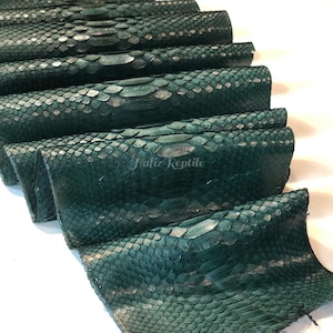 May include: Close-up of several pieces of dark green reptile skin, possibly python. The scales are visible, and the texture appears rough. The text "Jaliz Reptile" is printed on one of the pieces.