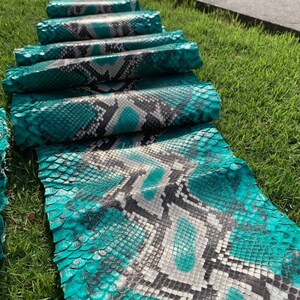 May include: Several rolls of vibrant turquoise and black snakeskin leather are arranged on green grass. The snakeskin has a detailed pattern with shades of gray and white, creating a striking visual texture. The leather appears to be freshly cut.