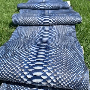 May include: Close-up of several pieces of blue and white snakeskin leather. The leather has a scale pattern and is folded over itself. The background is green grass.