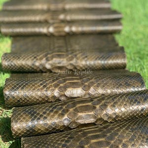 Puede incluir: Primer plano de varios rollos de piel de reptil, probablemente piel de serpiente, con un patrón texturizado en forma de escamas. La piel tiene una mezcla de tonos marrones y verde oliva. La imagen está tomada al aire libre sobre un lecho de hierba verde. El texto "Hafiz Reptile" es visible.