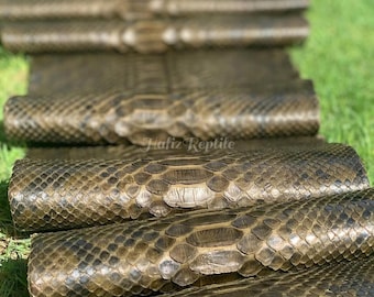 Peau de cuir de python véritable | Peau de ventre réticulée dorée non blanchie provenant d'une tannerie indonésienne