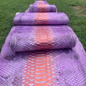 May include: A stack of purple and orange reptile skins, likely python, with a scale pattern. The skins are arranged on a bed of green grass. The color gradient transitions from purple to orange.