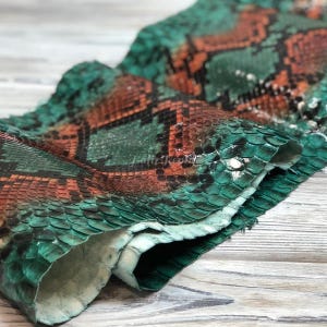 May include: Close-up of a piece of snake skin with a pattern of green, orange, and black scales. The leather is folded over, revealing the underside. The scales have a textured appearance.