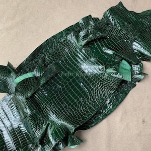 Könnte beinhalten: Nahaufnahme eines Stücks dunkelgrünes Krokodilleder. Das Leder hat eine glänzende Oberfläche und ein strukturiertes, schuppenartiges Muster. Das Leder ist gefaltet und geschichtet, wodurch seine natürliche Form und Textur sichtbar werden.