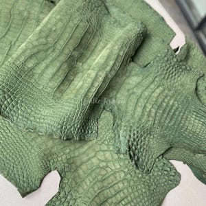 Könnte beinhalten: Nahaufnahme von mehreren Stücken grünem Krokodilleder. Das Leder hat ein strukturiertes, schuppiges Aussehen mit sichtbaren Rippen und Mustern. Die Farbe ist ein gedämpftes, erdiges Grün.