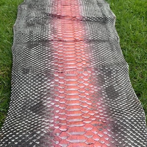 Può includere: Un pezzo di pelle di rettile con un motivo a scaglie. La pelle è principalmente grigia con una striscia centrale rosa-rossastra. Le scaglie sono piccole e fitte, creando un aspetto strutturato. La pelle è probabilmente di un serpente o di un rettile simile.