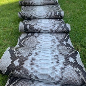 Può includere: Pelli di cuoio arrotolate, con motivo a pelle di serpente, nei toni del grigio, nero e bianco. Le pelli sono disposte in fila su erba verde, mostrando gli intricati dettagli delle squame e le variazioni di colore.