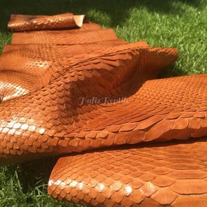 Op de afbeelding: Close-up van een gebruinde slangenvel met een geschubde textuur. De huid heeft een warme, roodbruine kleur en ligt op groen gras. De tekst "Hafiz Reptile" is zichtbaar.