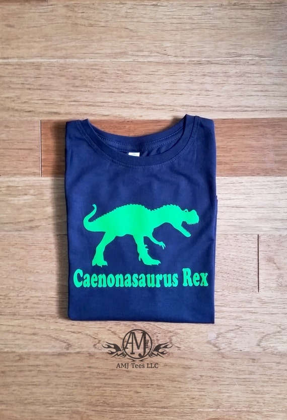 Personalized dinosaur birthday shirt, funny kids t rex tshirts, dinosaur gifts for kids, toddler short sleeve tshirt Il_570xn