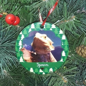 Custom Pet Christmas Ornament, Christmas Trees, Holiday Pet Gifts, Christmas Ornament, Christmas Gift, Personalized Gift, Custom Ornament