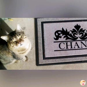 May include: A tabby cat with green eyes sits on a concrete surface looking at the camera. A gray doormat with black lettering that reads "CHAN" is in the background.