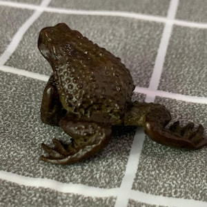 May include: A detailed, dark brown frog figurine with a textured, bumpy skin. The frog is in a seated position, with its front legs bent and its back legs extended. The figurine is a decorative item.