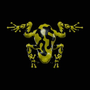 Fichier STL Flexi Poison Frog pour impression 3D