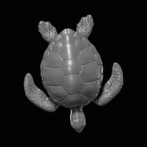 May include: A grayscale sculpture of a sea turtle, viewed from above, against a black background. The turtle's shell is segmented with a textured pattern, and its flippers are extended. The overall design is detailed and realistic.