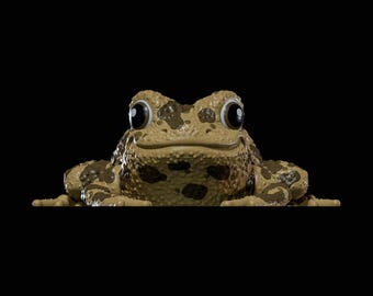 Flexi Frog 2 STL file for 3D Printing