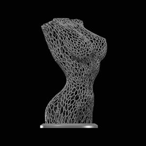 Plik STL z gyroidem torsu kobiety do druku 3D