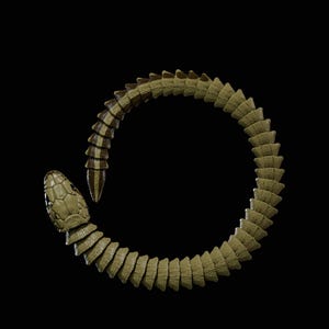 Flexi Snake STL-fil för 3D-utskrift