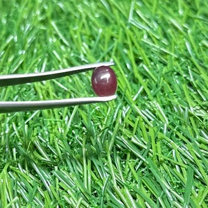 Könnte beinhalten: Ein kleiner, runder, dunkelroter Edelstein wird von einer silbernen Pinzette vor einem Hintergrund aus grünem Gras gehalten. Der Edelstein hat eine glatte, polierte Oberfläche und scheint durchscheinend zu sein. Die Pinzette ist so positioniert, dass sie den Edelstein sicher hält.