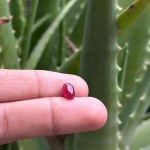 Może przedstawiać: Zestaw trzech ceramicznych kubków z nakrapianym, matowym wykończeniem. Kubki są w odcieniach kremu, jasnoszarym i ciemnoszarym. Każdy kubek ma prosty, minimalistyczny design.