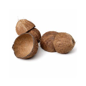 May include: A collection of brown coconut shells on a white background. Some shells are halved, showing the fibrous interior. The shells have a rough, textured exterior and vary in size and shape.
