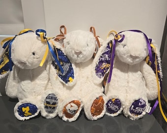 College Jellycats-  REAL JELLYCATS