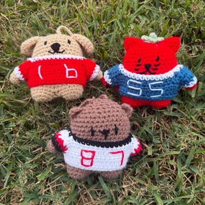Crochet F1 Animal Keychains
