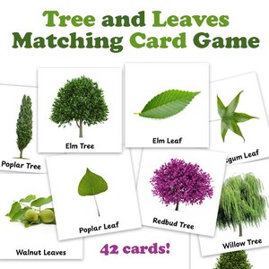 Könnte beinhalten: Ein Zuordnungs-Kartenspiel mit Bildern von Bäumen und Blättern. Die Karten zeigen Elm Tree, Elm Leaf, Poplar Tree, Poplar Leaf, Redbud Tree, Willow Tree, Walnut Leaves und gum Leaf. Der Text auf den Karten lautet "Tree and Leaves Matching Card Game" und "42 cards!"