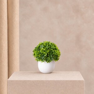 May include: A small, spherical artificial plant with vibrant green leaves arranged in a dense, rounded shape. The plant is housed in a smooth, plain white ceramic pot with a rounded base, creating a clean and simple botanical display.