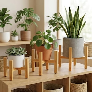May include: A selection of potted plants, including a snake plant and a monstera, are displayed on a wooden shelf. The plants are in various pots, some on wooden plant stands. Wicker baskets are visible below the shelf.