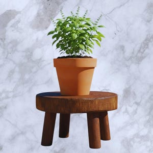 May include: A terracotta plant pot with a green plant, set on a small, round, wooden stool. The stool has three legs and a dark brown finish. The background is a marble-effect surface.