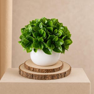 May include: A small, rounded white ceramic pot containing a dense, spherical arrangement of vibrant green artificial leaves. The pot rests on two stacked, circular wooden slices with visible bark edges and natural wood grain patterns.