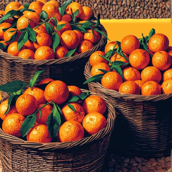 Pop Art Oranges Wall Art Printable Bold Citrus Fruit Illustration Vibrant Modern Kitchen Decor Colorful Digital Download