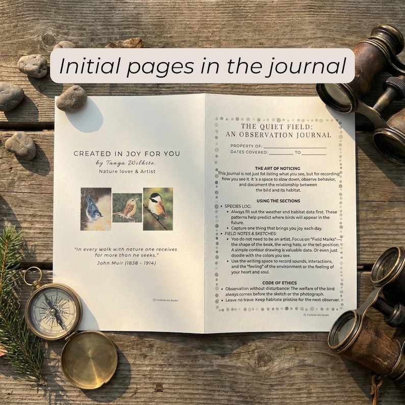 May include: An open observation journal with the text "The Quiet Field" and illustrations of birds. A compass, binoculars, and small stones are arranged around the journal on a wooden surface.