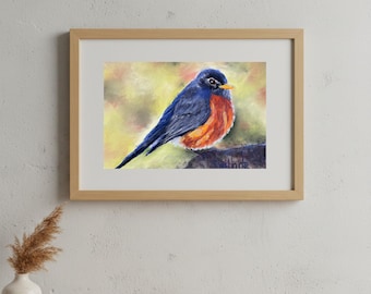 American Robin Giclee Fine Art Bird Print Art Collector Bird Lover Gift Wall Art