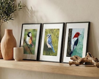 Bird Hallway Wall Art Collection Nature Prints Wildlife Illustrations Pastel Bathroom Artwork Giclee Songbird Kitchen Avian Decor
