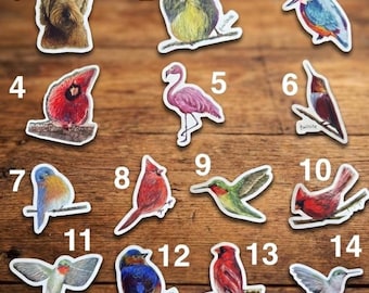 Bird Sticker Set Bundle Hand Painted Waterproof Decal Water Bottle Decoration Design Goldendoodle Teacher Gift Idea Laptop Case Scratch