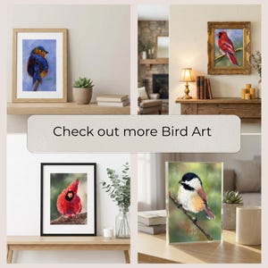 Puede incluir: Una colecci&oacute;n de impresiones art&iacute;sticas de aves enmarcadas. Las impresiones presentan aves coloridas, como un azulejo y un cardenal, exhibidas en estantes y mesas. El texto "Check out more Bird Art" tambi&eacute;n es visible.