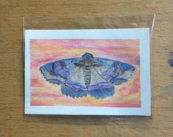 Impresión gouache de polilla Zale Lunata
