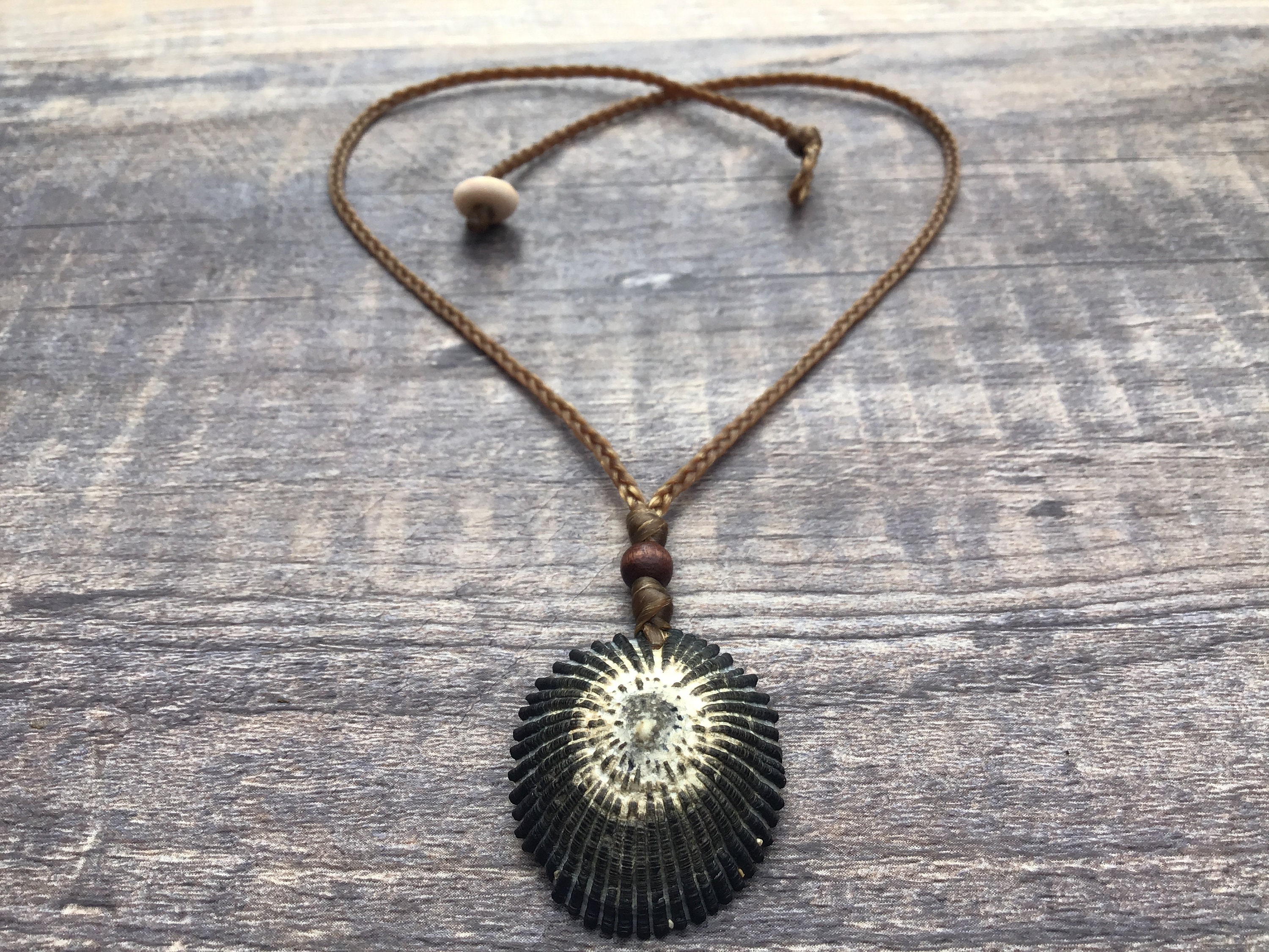 Opihi shell necklace online